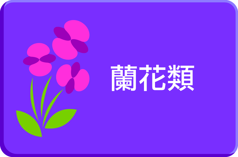 蘭花